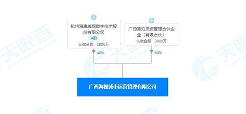 海康威視參與投資成立城市運營管理公司 經營范圍含安全系統監控服務等
